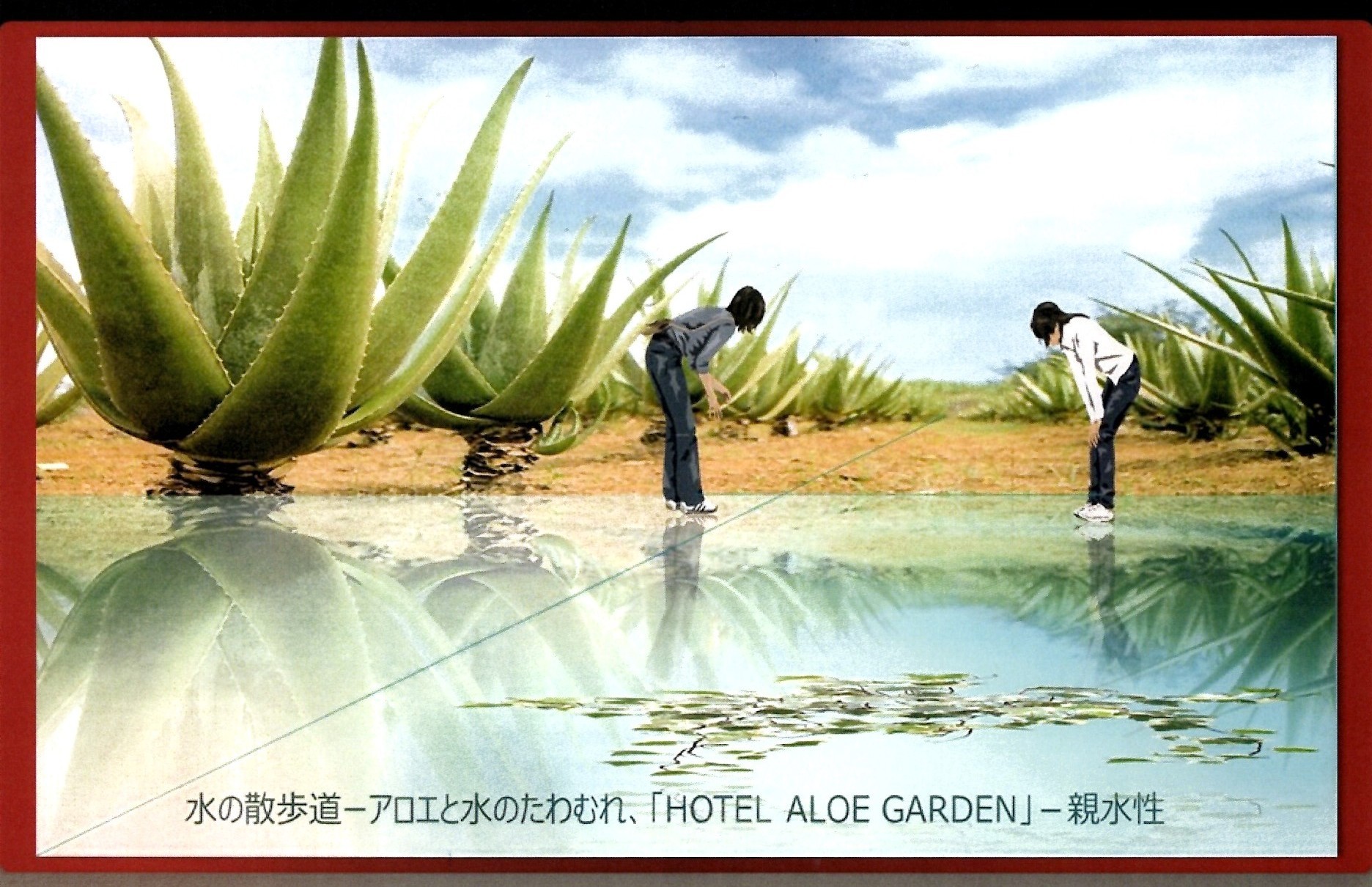 HOTEL ALOE GARDEN 水の散歩道 ― アロエと水のたわむれ、親水性
