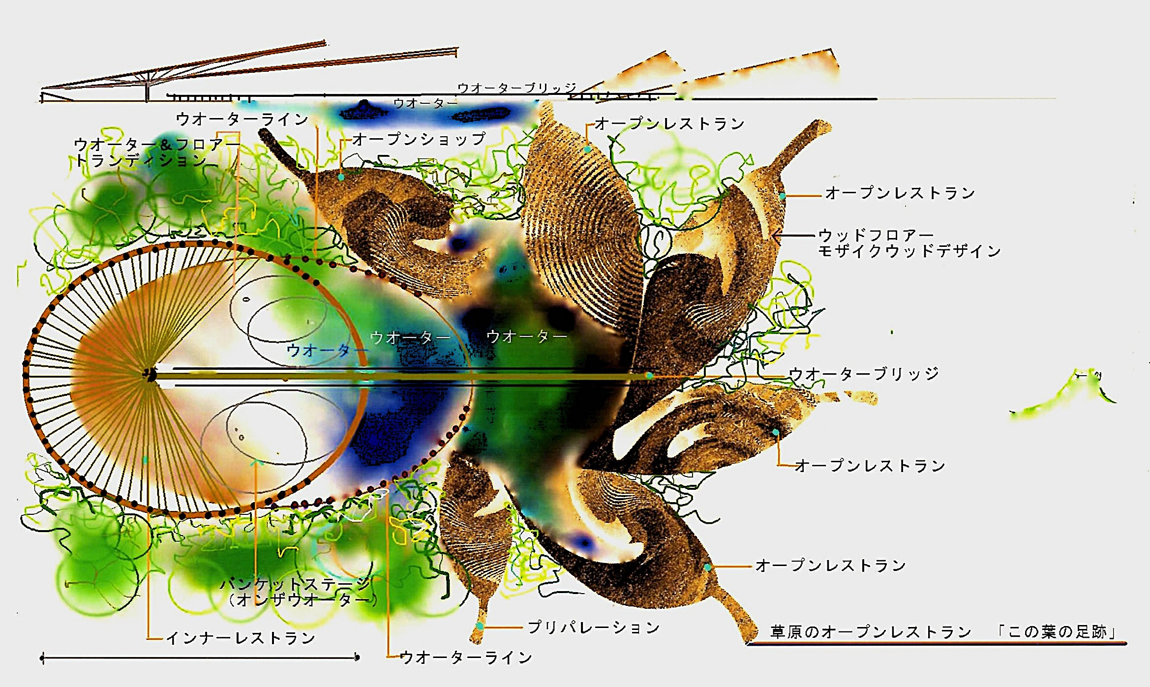 木の葉のステージ